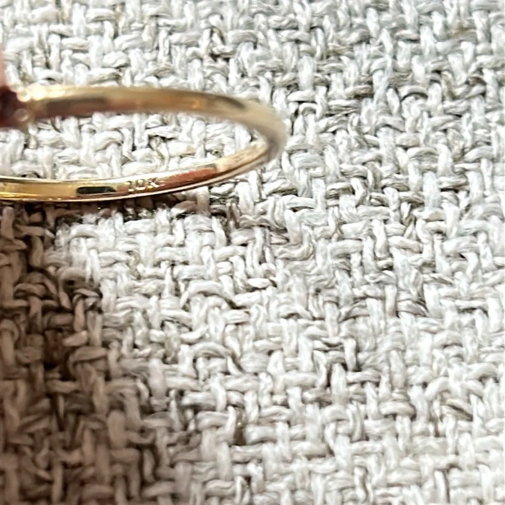 Catbird delicate eternity